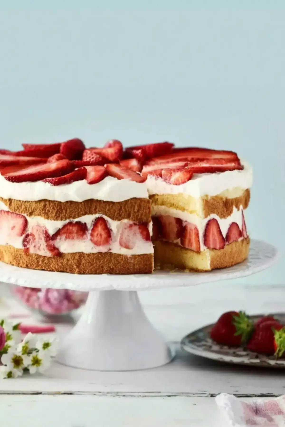 Erdbeer Tiramisu Torte