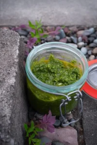 Frisch aus dem Garten: Aromatisches Radieschenpesto