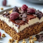 Schoko Haferflocken Kuchen