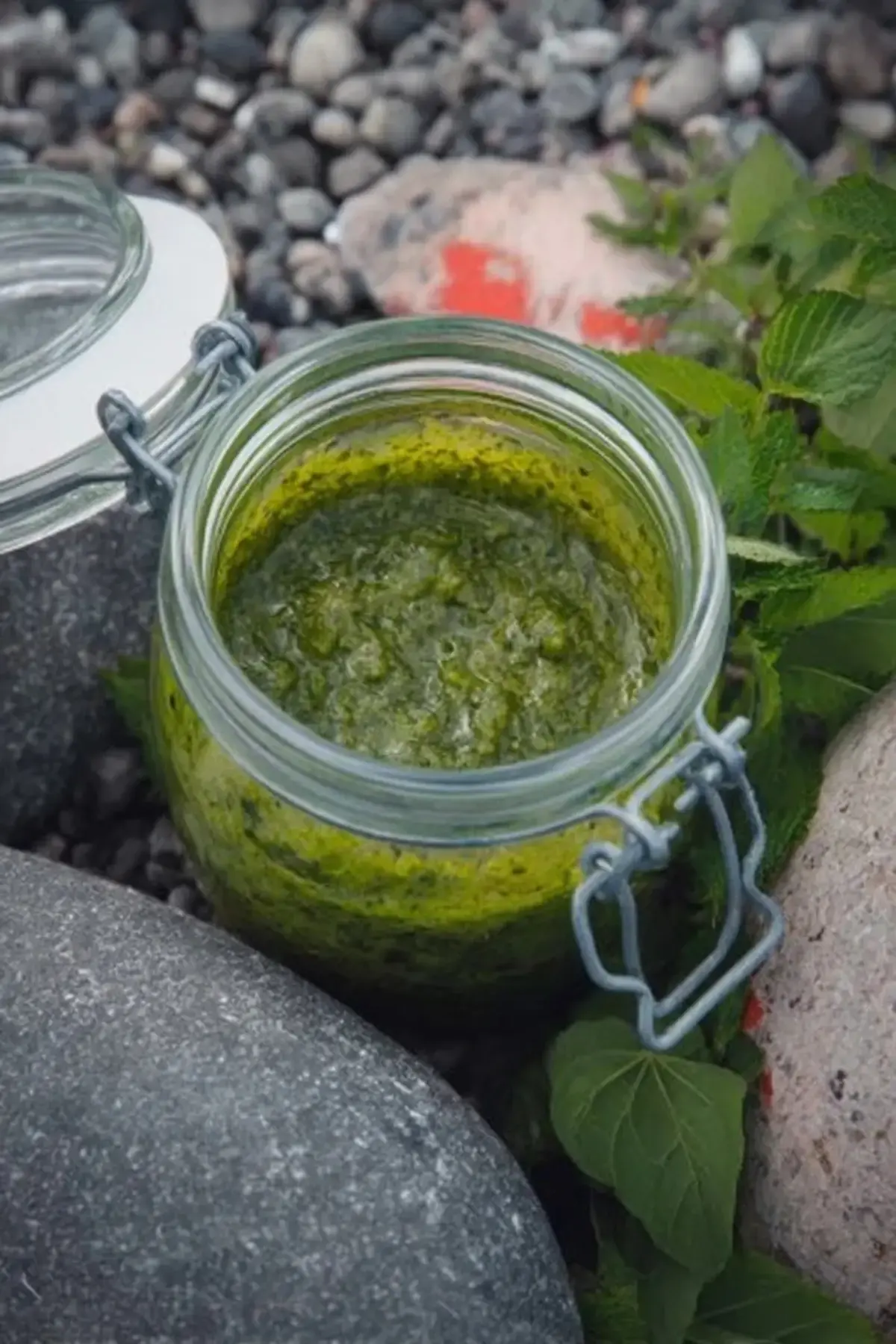radieschenpesto aus radieschengrün
