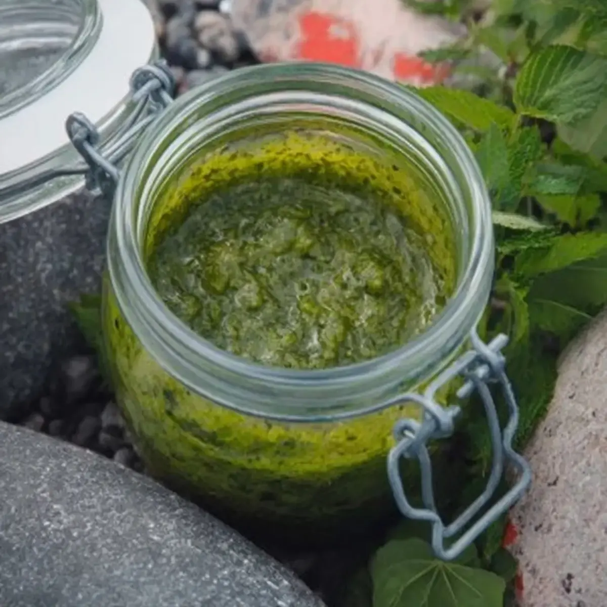 radieschenpesto aus radieschengryn