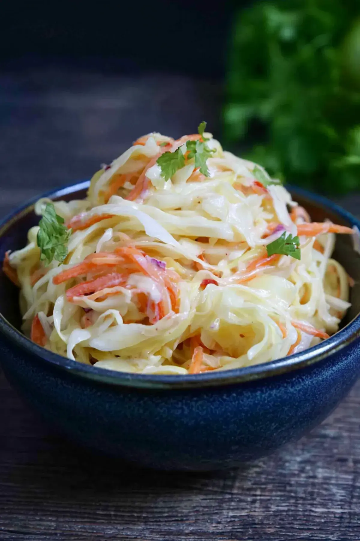 Coleslaw Rezept