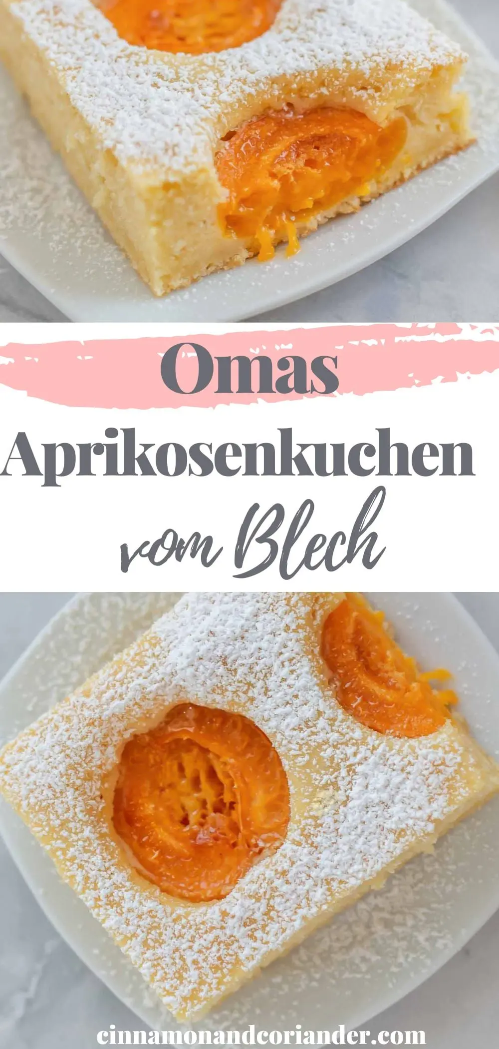 Deutscher Aprikosenkuchen