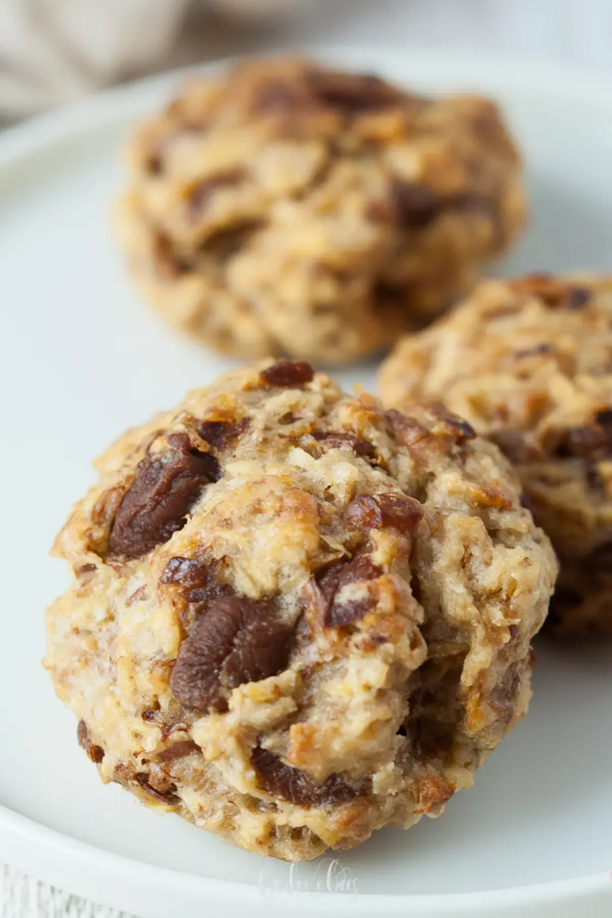 Gesunde vegane Kinder Kekse ohne Zucker und Ei – Einfach & Lecker - Einfach Clever Kochen 2 Gesunde vegane Kinder Kekse ohne Zucker und Ei