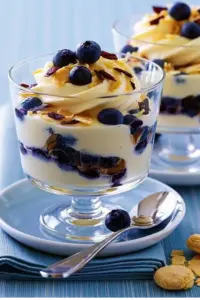 Heidelbeer Mascarpone Pudding