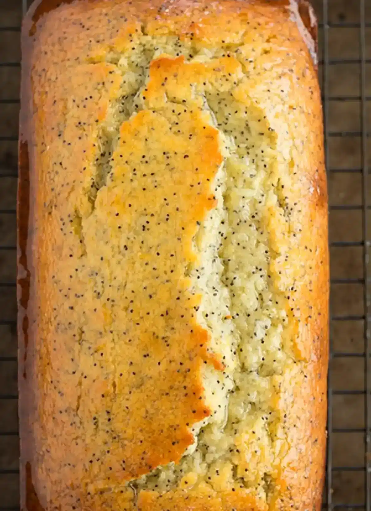Zitronen Mohn Brot